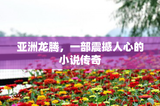 亚洲龙腾,一部震撼人心的小说传奇 亚洲龙腾,一部震撼人心的小说传奇