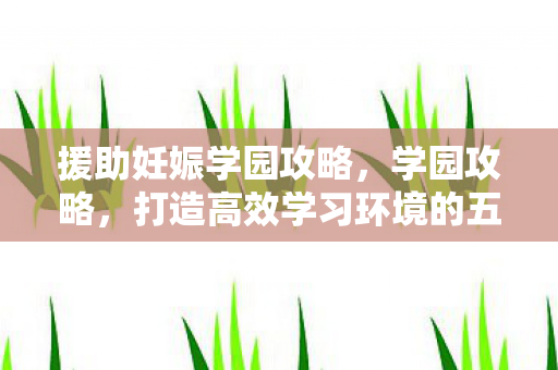 援助妊娠学园攻略，学园攻略，打造高效学习环境的五大秘诀
