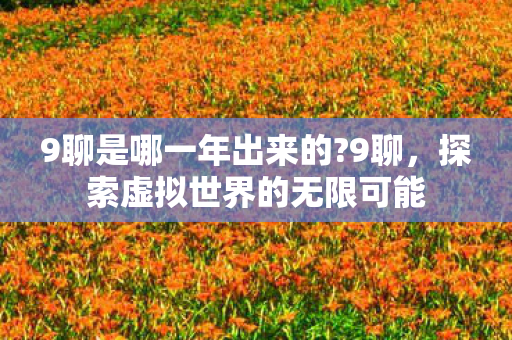 9聊是哪一年出来的?9聊，探索虚拟世界的无限可能