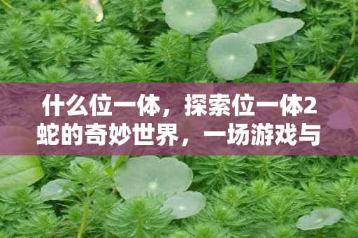 什么位一体，探索位一体2蛇的奇妙世界，一场游戏与策略的盛宴