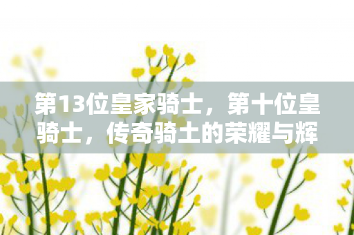第13位皇家骑士，第十位皇骑士，传奇骑土的荣耀与辉煌