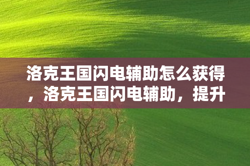 洛克王国闪电辅助怎么获得，洛克王国闪电辅助，提升游戏体验的得力助手