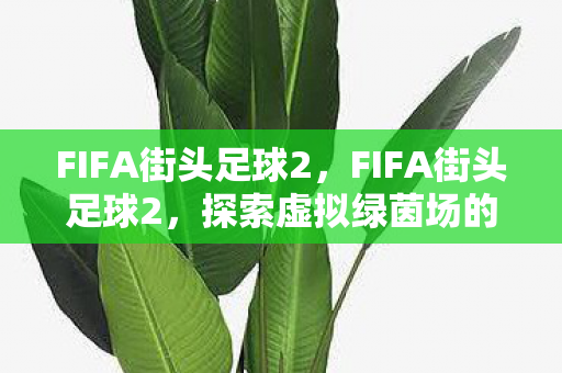FIFA街头足球2，FIFA街头足球2，探索虚拟绿茵场的无限可能