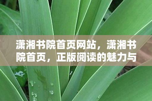 潇湘书院首页网站，潇湘书院首页，正版阅读的魅力与数字时代的文学盛宴
