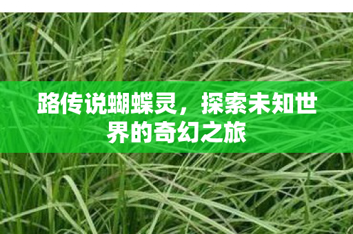 路传说蝴蝶灵，探索未知世界的奇幻之旅