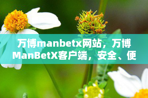万博manbetx网站，万博ManBetX客户端，安全、便捷、高效的在线娱乐体验