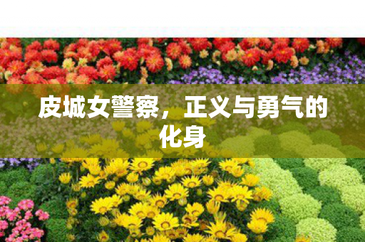 皮城女警察，正义与勇气的化身