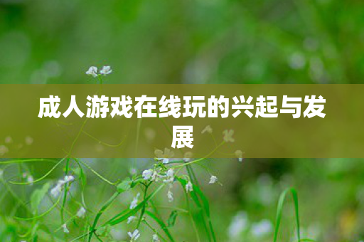 成人游戏在线玩的兴起与发展