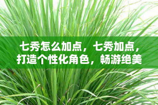 七秀怎么加点，七秀加点，打造个性化角色，畅游绝美江湖