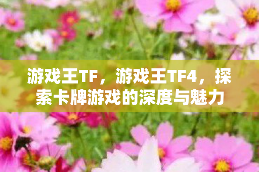 游戏王TF，游戏王TF4，探索卡牌游戏的深度与魅力