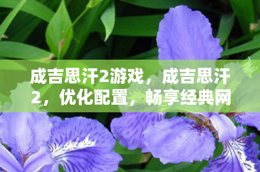 成吉思汗2游戏,成吉思汗2,优化配置,畅享经典网游 成吉思汗2游戏,成吉思汗2,优化配置,畅享经典网游