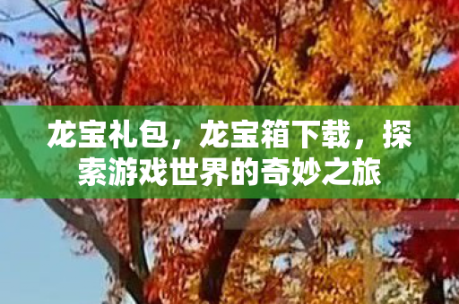 龙宝礼包，龙宝箱下载，探索游戏世界的奇妙之旅