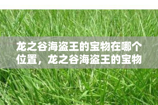 龙之谷海盗王的宝物在哪个位置，龙之谷海盗王的宝物，探寻未知海域的传奇宝藏