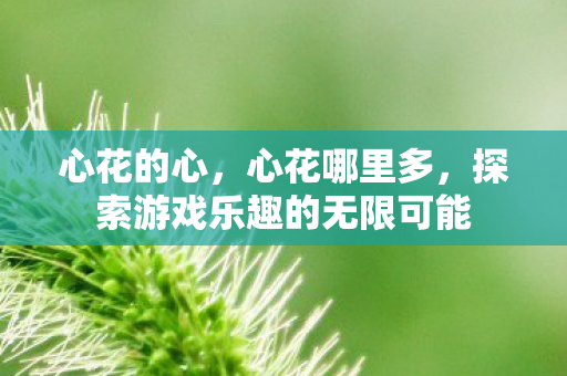 心花的心，心花哪里多，探索游戏乐趣的无限可能