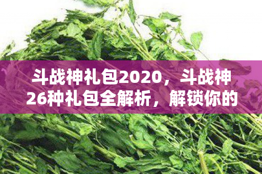 斗战神礼包2020，斗战神26种礼包全解析，解锁你的游戏之旅