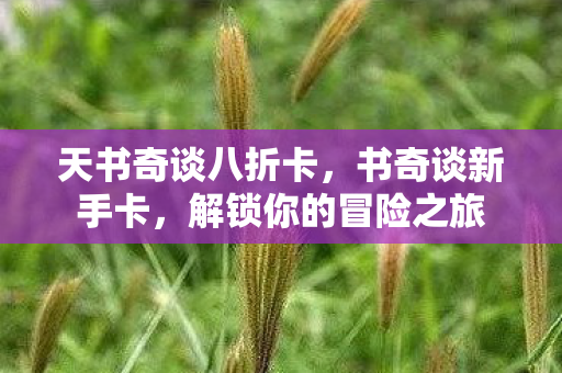 天书奇谈八折卡，书奇谈新手卡，解锁你的冒险之旅