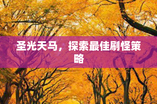 圣光天马，探索最佳刷怪策略