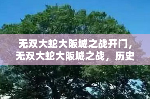无双大蛇大阪城之战开门，无双大蛇大阪城之战，历史与游戏的完美融合
