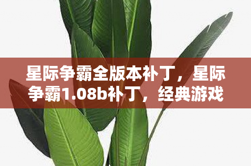 星际争霸全版本补丁,星际争霸1.08b补丁,经典游戏的时光机 星际争霸全版本补丁,星际争霸1.08b补丁,经典游戏的时光机