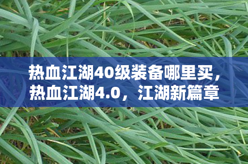 热血江湖40级装备哪里买,热血江湖4.0,江湖新篇章,侠义再续 热血江湖40级装备哪里买,热血江湖4.0,江湖新篇章,侠义再续