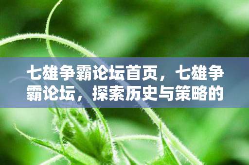 七雄争霸论坛首页，七雄争霸论坛，探索历史与策略的深度交汇