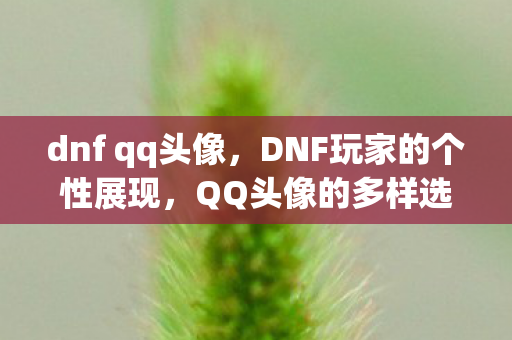 dnf qq头像,DNF玩家的个性展现,QQ头像的多样选择 dnf qq头像,DNF玩家的个性展现,QQ头像的多样选择