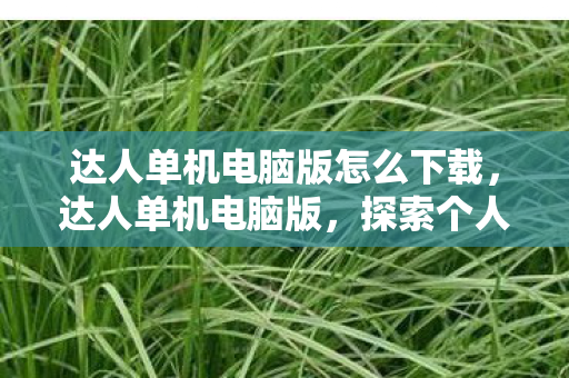 达人单机电脑版怎么下载，达人单机电脑版，探索个人娱乐与创作的无限可能