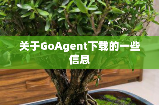 关于GoAgent下载的一些信息 关于GoAgent下载的一些信息