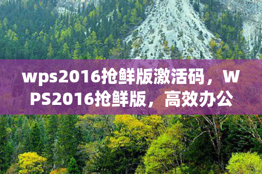 wps2016抢鲜版激活码，WPS2016抢鲜版，高效办公的得力助手