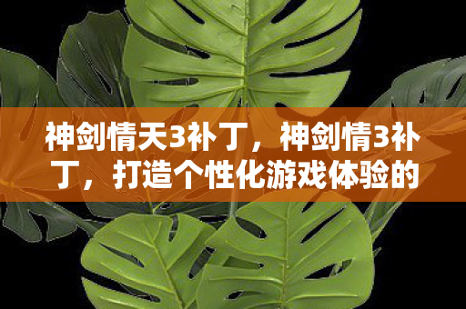 神剑情天3补丁,神剑情3补丁,打造个性化游戏体验的必备神器 神剑情天3补丁,神剑情3补丁,打造个性化游戏体验的必备神器