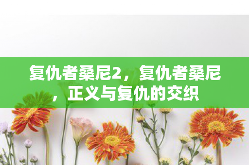 复仇者桑尼2，复仇者桑尼，正义与复仇的交织