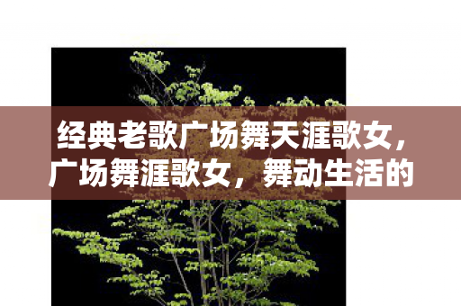 经典老歌广场舞天涯歌女，广场舞涯歌女，舞动生活的艺术，跨越年龄的舞台