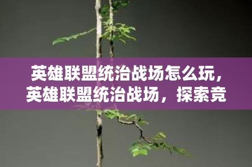 英雄联盟统治战场怎么玩，英雄联盟统治战场，探索竞技舞台的无限可能