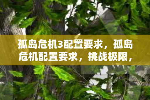 孤岛危机3配置要求，孤岛危机配置要求，挑战极限，体验未来战争