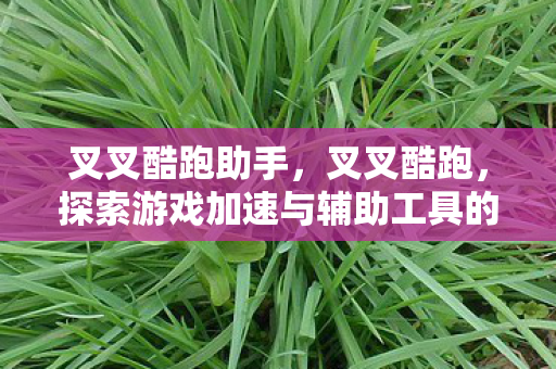 叉叉酷跑助手，叉叉酷跑，探索游戏加速与辅助工具的奇妙世界
