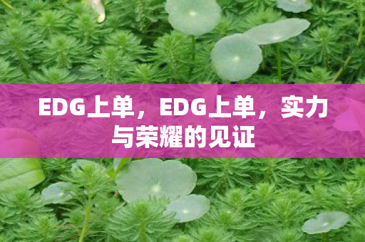 EDG上单,EDG上单,实力与荣耀的见证 EDG上单,EDG上单,实力与荣耀的见证