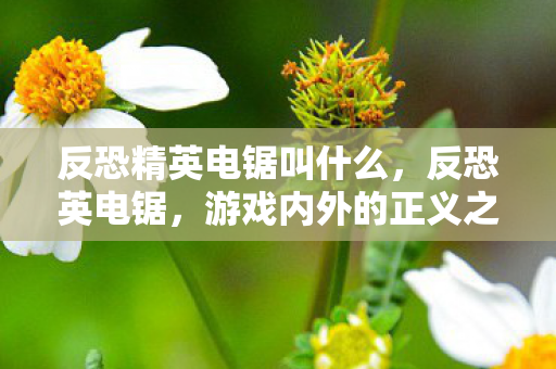 反恐精英电锯叫什么,反恐英电锯,游戏内外的正义之战 反恐精英电锯叫什么,反恐英电锯,游戏内外的正义之战