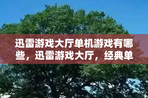 迅雷游戏大厅单机游戏有哪些，迅雷游戏大厅，经典单机游戏的怀旧之旅