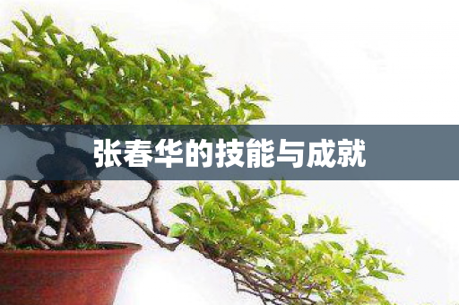 张春华的技能与成就 张春华的技能与成就