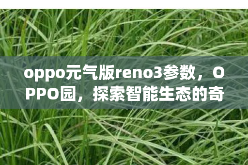 oppo元气版reno3参数，OPPO园，探索智能生态的奇妙之旅