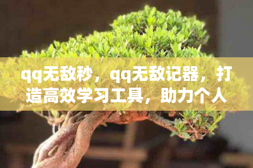 qq无敌秒，qq无敌记器，打造高效学习工具，助力个人成长