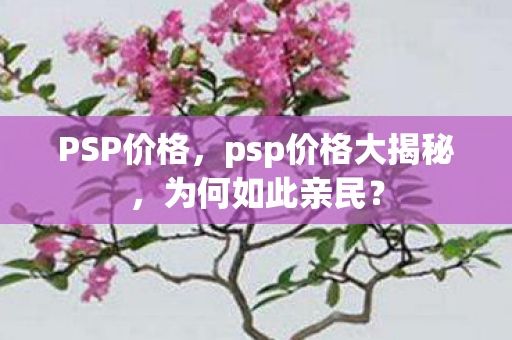 PSP价格,psp价格大揭秘,为何如此亲民? PSP价格,psp价格大揭秘,为何如此亲民?