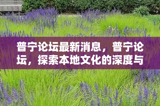 普宁论坛最新消息，普宁论坛，探索本地文化的深度与广度