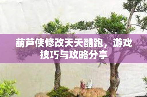 葫芦侠修改天天酷跑,游戏技巧与攻略分享 葫芦侠修改天天酷跑,游戏技巧与攻略分享