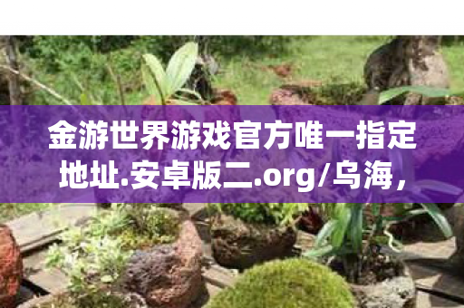 金游世界游戏官方唯一指定地址.安卓版二.org/乌海，金游世界，探索正版游戏世界的无限可能