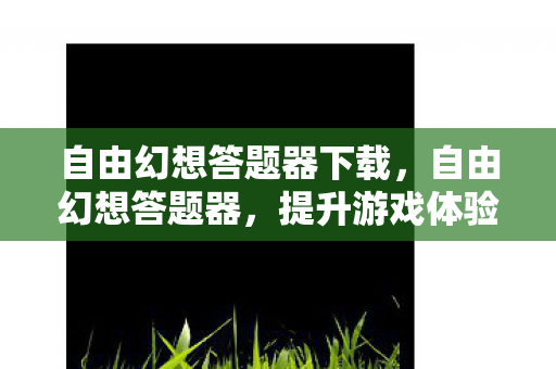 自由幻想答题器下载，自由幻想答题器，提升游戏体验的利器