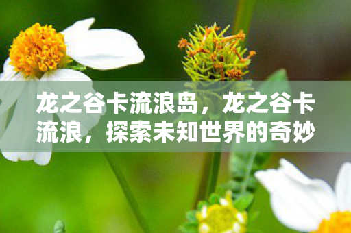 龙之谷卡流浪岛，龙之谷卡流浪，探索未知世界的奇妙之旅