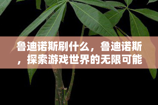 鲁迪诺斯刷什么,鲁迪诺斯,探索游戏世界的无限可能 鲁迪诺斯刷什么,鲁迪诺斯,探索游戏世界的无限可能