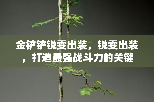 金铲铲锐雯出装,锐雯出装,打造最强战斗力的关键 金铲铲锐雯出装,锐雯出装,打造最强战斗力的关键