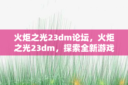 火炬之光23dm论坛,火炬之光23dm,探索全新游戏世界的奇妙之旅 火炬之光23dm论坛,火炬之光23dm,探索全新游戏世界的奇妙之旅